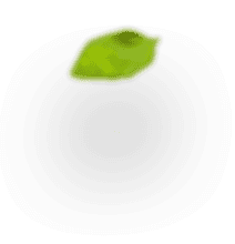 Уникальные благовония Pure in зеленый лист