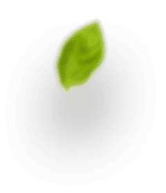 Уникальные благовония Pure in зеленый лист